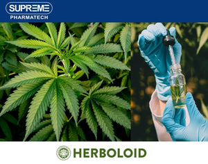 Supreme Pharmatech Will Develop A New Line Of Products Based On Nano Processed Hemp Oil For The “Herboloid” Brand
