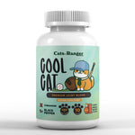 Herboloid Cool Cat Vitamin Premium Joint Pet Supplement for Pain-free Joints, joint care for cats, Kitty joint care supplements